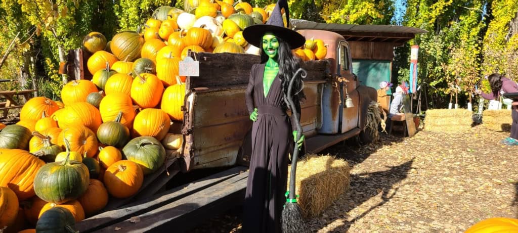 Green-Witch-Landscape-Pumpkins